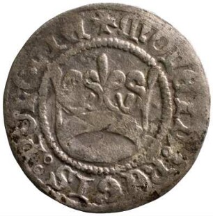 Münze, Kwartnik, 1501/1506