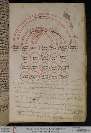Arbor affinitatis