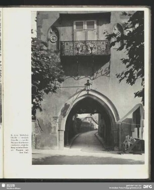 Burg in Eltville