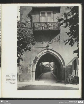 Burg in Eltville