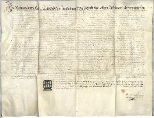 Notariats-Instrument des Kaiserlichen Kammergerichts-Notars Magister Sebastian Prenner aus Deggendorf, Bürger zu Frankfurt, über die auf Begehren ...