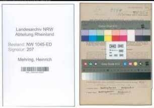 Entnazifizierung Heinrich Mehring , geb. 06.01.1891 (Lehrer)