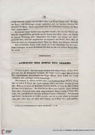 Gewicht des Hirns des Negers