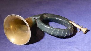 Fürst Pless Horn