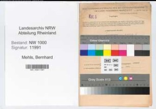 Entnazifizierung Bernhard Mehls, geb. 08.03.1902 (Bankangest.)
