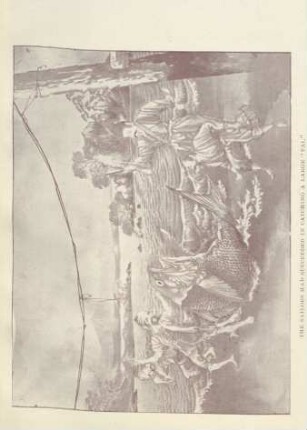 The sailors had succeded in catching a large "Tai"