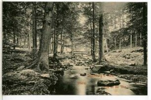 Ilsenburg. Ilsetal