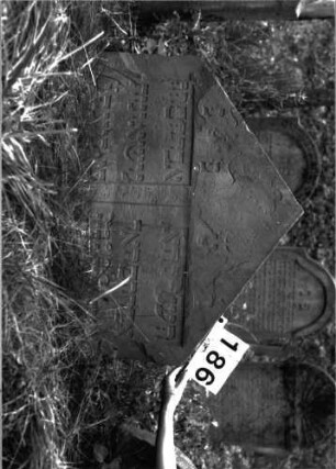 Grabstein 186 Besonderheit: Doppelgrabstein: Grabstein 186