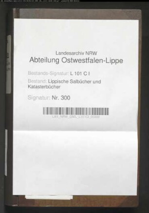Salbuch der ehem. Vogtei Langenholzhausen von 1858, Bd. 2 (Duplikat)