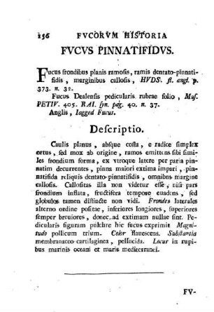 Fucus pinnatifidus
