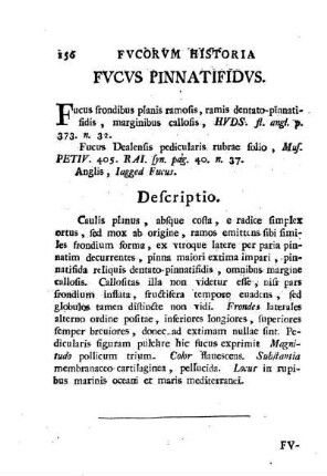 Fucus pinnatifidus
