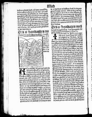 Des v Sondaghes na d' hylghe[n] drevoldicheit