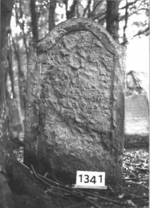 Grabstein 1341 (Index: 99900242) Material: Sandstein Zustand: völlig verwittert Maße HxBxT: 116x65x10 cm Beschreibung: Stele mit Konvexbogenabschluss Besonderheit: vermutete Identifizierung nach Gräberverzeichnis: Grabstein 1341
