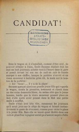 Candidat! : Roman contemporain