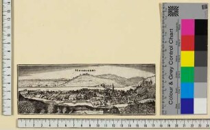 Heidelberg, Stadt und Schloss von Süden