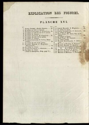 Explication Des Figures. Planche XVI.