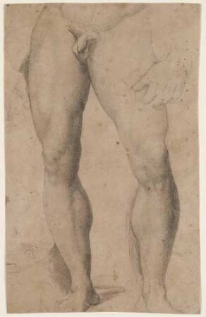 David (Kopie nach Michelangelo), Beine von vorn