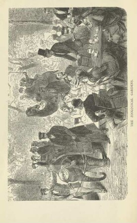 The Zoological Gardens
