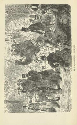 The Zoological Gardens