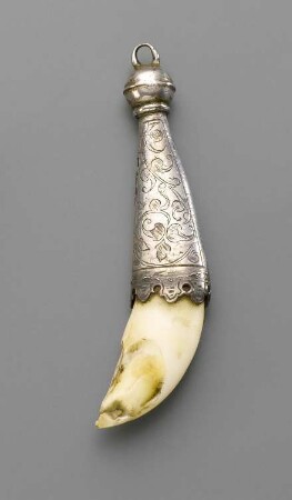 Amulett mit Eberzahn
