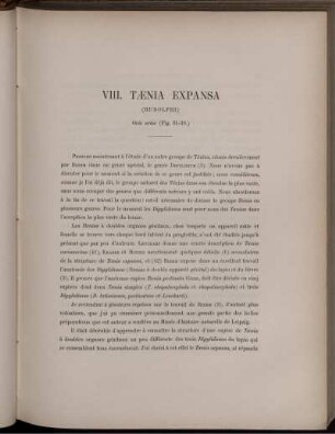 VIII. Tænia Expansa