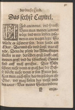Das sechst Capitel.