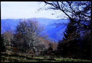 Schauinsland: vom Schauinsland zum Feldberg