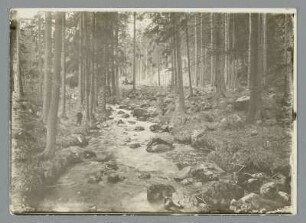 Foto, Wernigerode