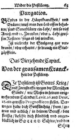 14. Kap. Wider die Pestilentz.