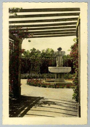Stadtgarten - Rosengarten