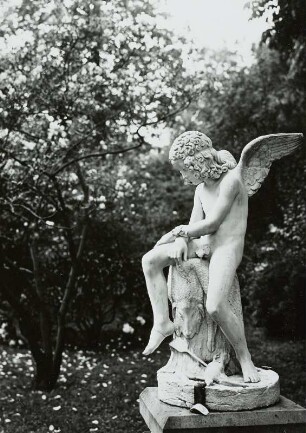 Gefesselter Amor mit Vlies und pfeildurchbohrtem Vogel