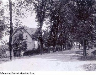 Bäckerei und Kaffee-Haus "Immergrün"