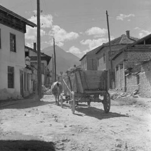 Alltagsbild. Ochsengespann unterwegs in Bansko