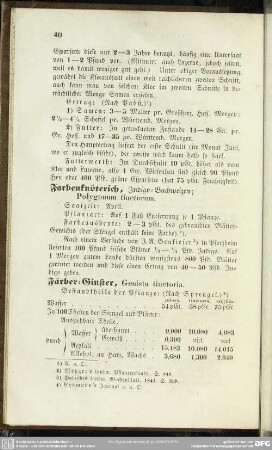 Färber=Ginster, Genista tinctoria