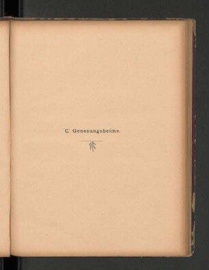 C. Genesungsheime.