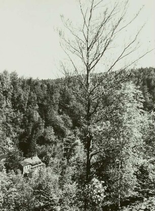 Höckendorf-Edle Krone, Theler Schacht, Huthaus im Tal der Wilden Weißeritz, ansicht von der Halde der Grube Unverhofft Glück