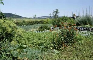 Garten Bandweberhaus im Museum