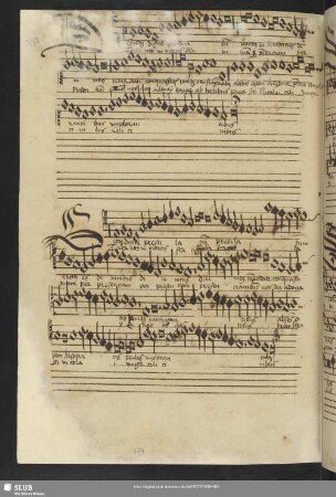 [Anon.: Salve mirae sanctitatis]