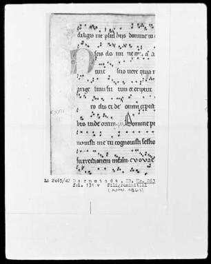 Graduale — Initiale N (unc scio vere), Folio 131verso