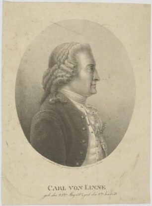 Bildnis des Carl von Linne