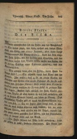 Vierte Klasse. Die Fische.