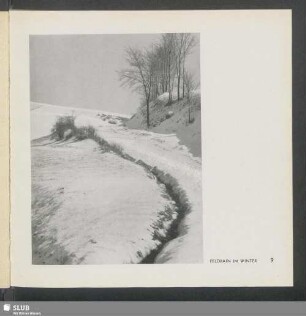 Feldrain Im Winter