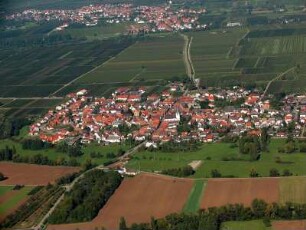 Venningen (Pfalz)