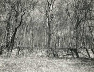 Radebeul, Augustusweg 110. Park der Villa "Jägerberg". Mauer eines ehemaligen Weinberges