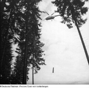 Hubschrauber; Ostrau, Kirnitzschtal, Kartoffellesen Lilienstein, Raumberg