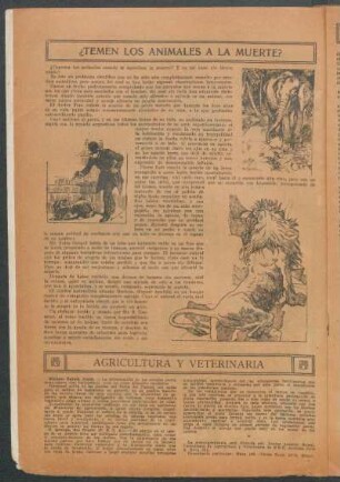 ¿Temen los animales a la muerte?