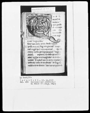 Psalterium — Initiale Q (uid gloriasis), Folio 43 verso