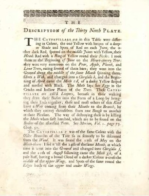 The Description of the Thirty Ninth Plate