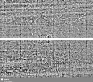 Lilienschild + WR / IV = Cemb.-S.11/12+17/18