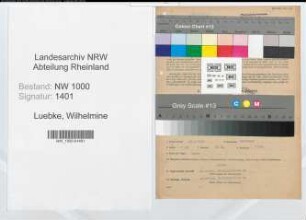 Entnazifizierung Wilhelmine Luebke, geb. 19.08.1901 (Verw.Angest.)